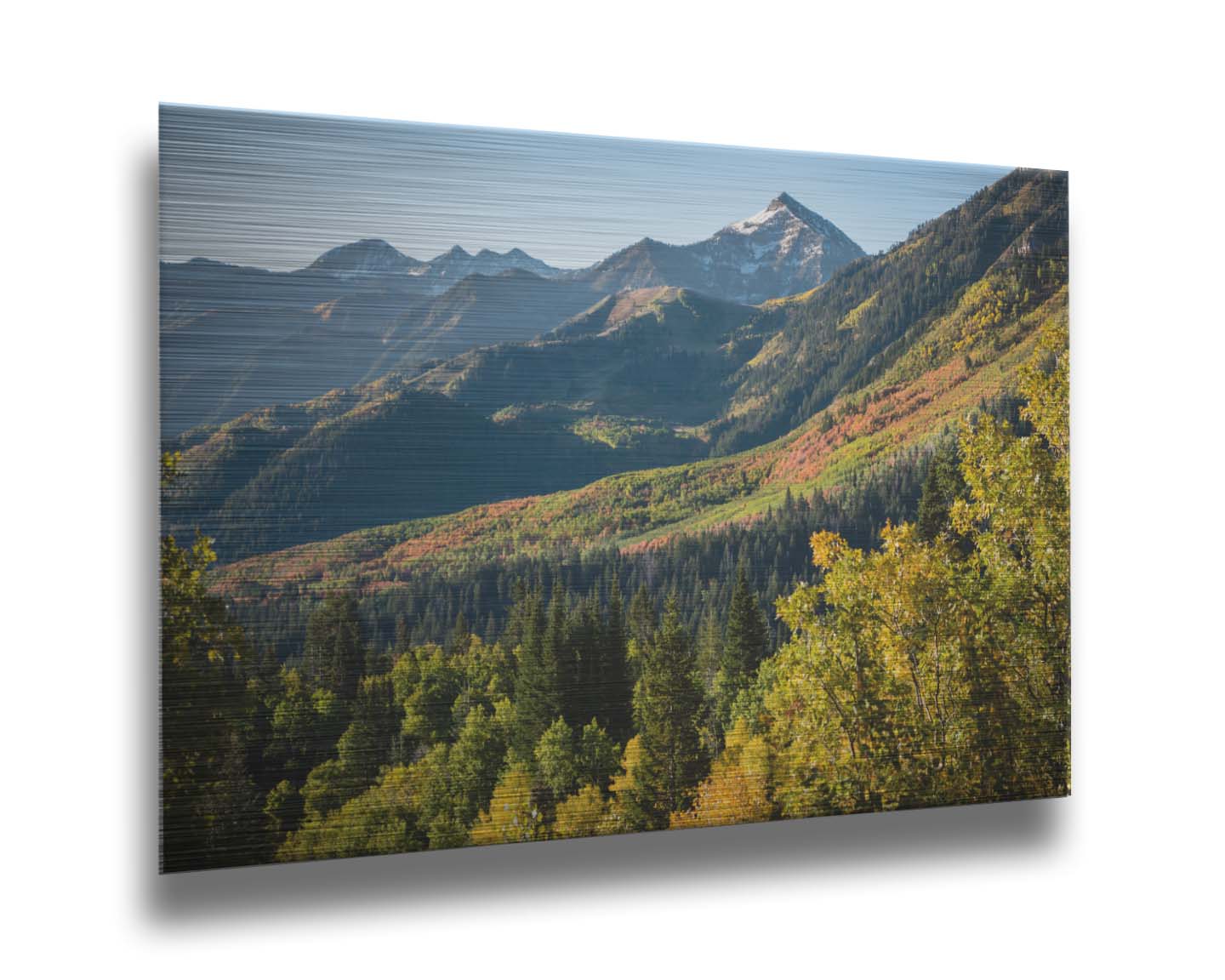 A photo overlooking the Aspen Grove and Cascade Mountain from Sundance Resort in Utah. The trees of Aspen Grove are a mix of deep evergreens and yellow fall aspens. The snow-dusted Cascade Mountain sits in the back, toned blue by atmospheric perspective. Printed on metal.