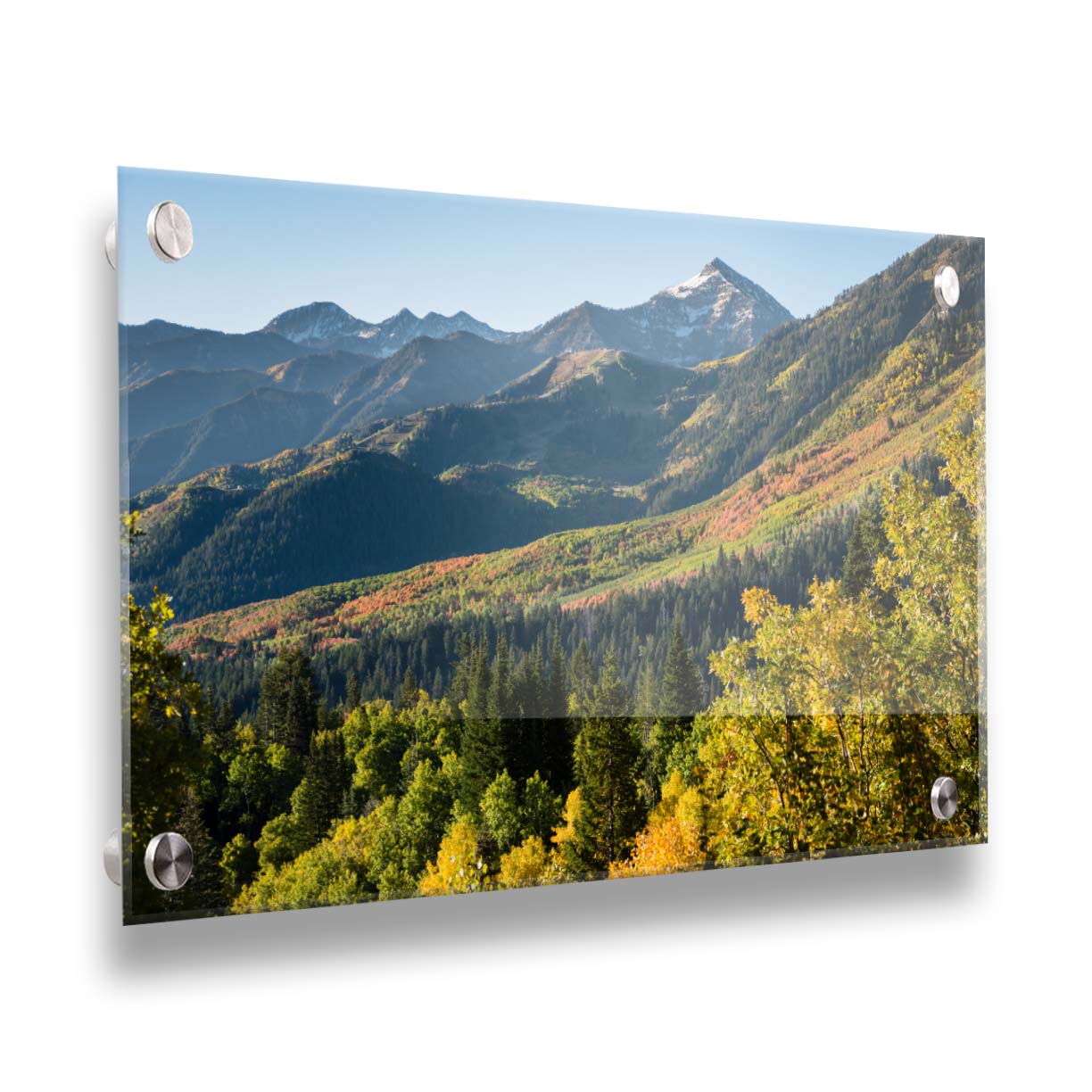 A photo overlooking the Aspen Grove and Cascade Mountain from Sundance Resort in Utah. The trees of Aspen Grove are a mix of deep evergreens and yellow fall aspens. The snow-dusted Cascade Mountain sits in the back, toned blue by atmospheric perspective. Printed on acrylic.