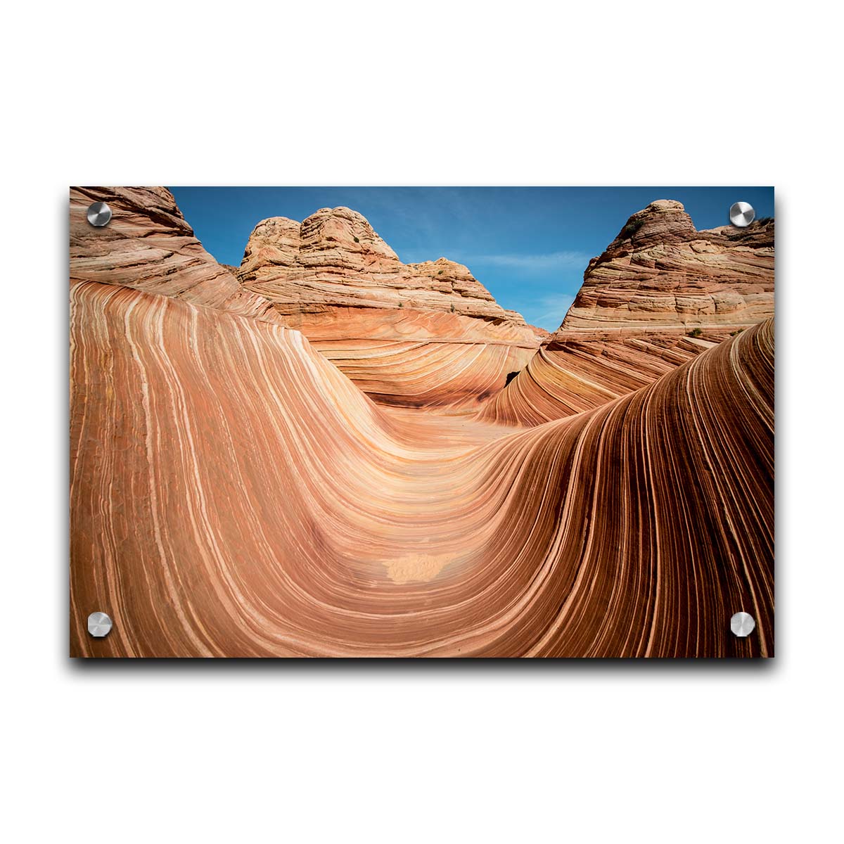 A photo of the "Wave" rock formation at Coyote Buttes North in Utah. The wavy sandstone layers create rolling waves where they have been carved out of the mountainside. The orange hues of the stone are sharply contrasted by the vibrant blue of the sky. Printed on acrylic.