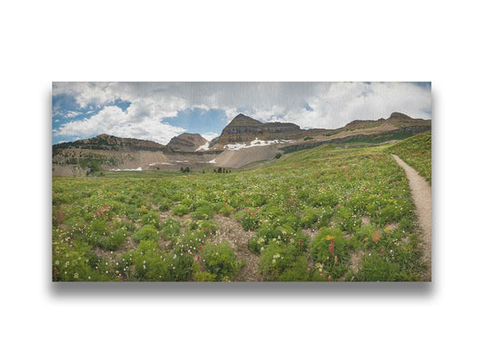 A photograph of the trails thorugh the mountains of Timpanogos, through fields of wildflowers in white, yellow, and red. Printed on canvas.