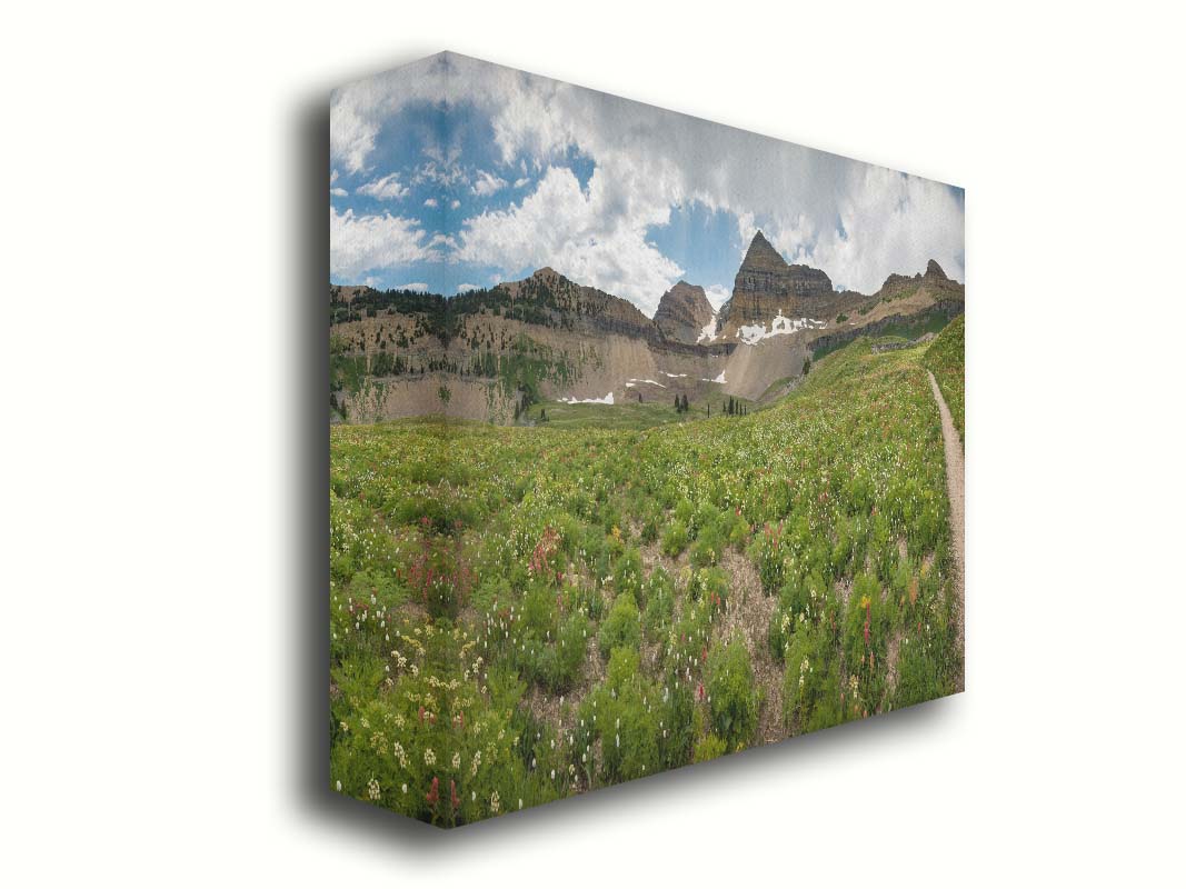 A photograph of the trails thorugh the mountains of Timpanogos, through fields of wildflowers in white, yellow, and red. Printed on canvas.