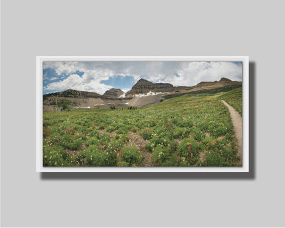 A photograph of the trails thorugh the mountains of Timpanogos, through fields of wildflowers in white, yellow, and red. Printed on canvas in a float frame.