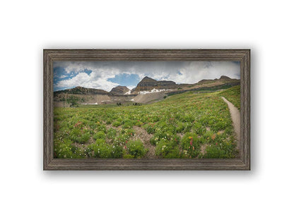 A photograph of the trails thorugh the mountains of Timpanogos, through fields of wildflowers in white, yellow, and red. Printed on canvas and framed.