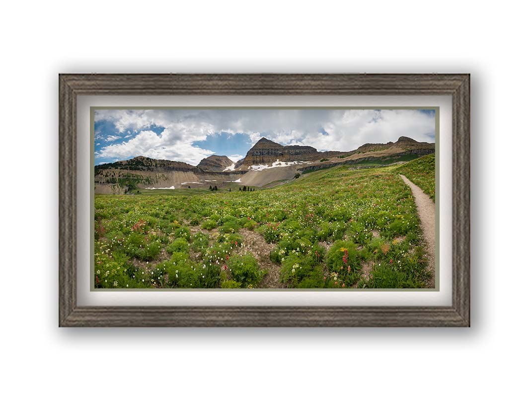 A photograph of the trails thorugh the mountains of Timpanogos, through fields of wildflowers in white, yellow, and red. Printed on paper, matted, and framed.