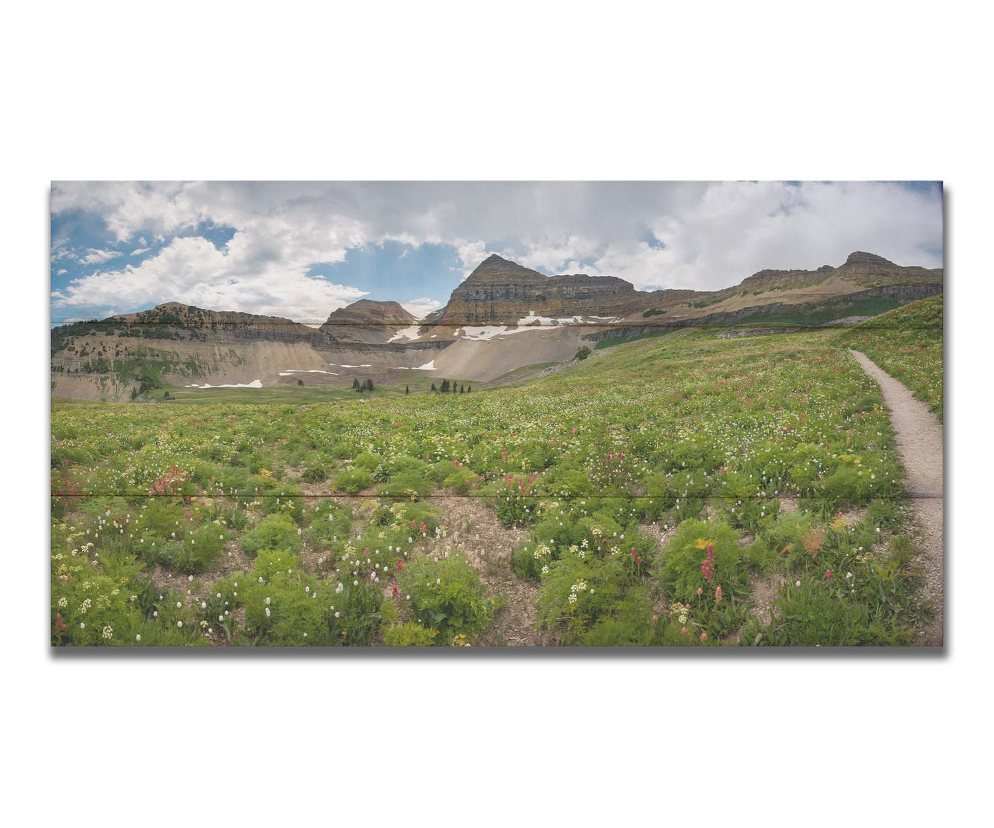 A photograph of the trails thorugh the mountains of Timpanogos, through fields of wildflowers in white, yellow, and red. Printed on a box board.