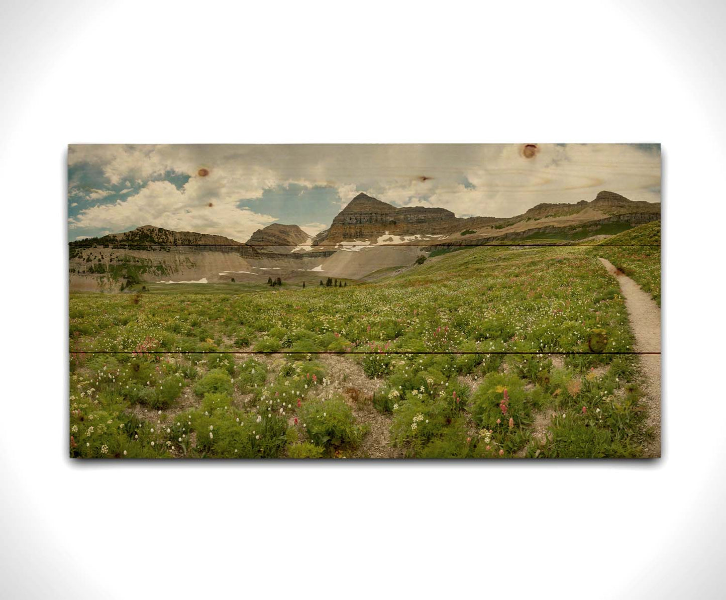 A photograph of the trails thorugh the mountains of Timpanogos, through fields of wildflowers in white, yellow, and red. Printed on a wood pallet.