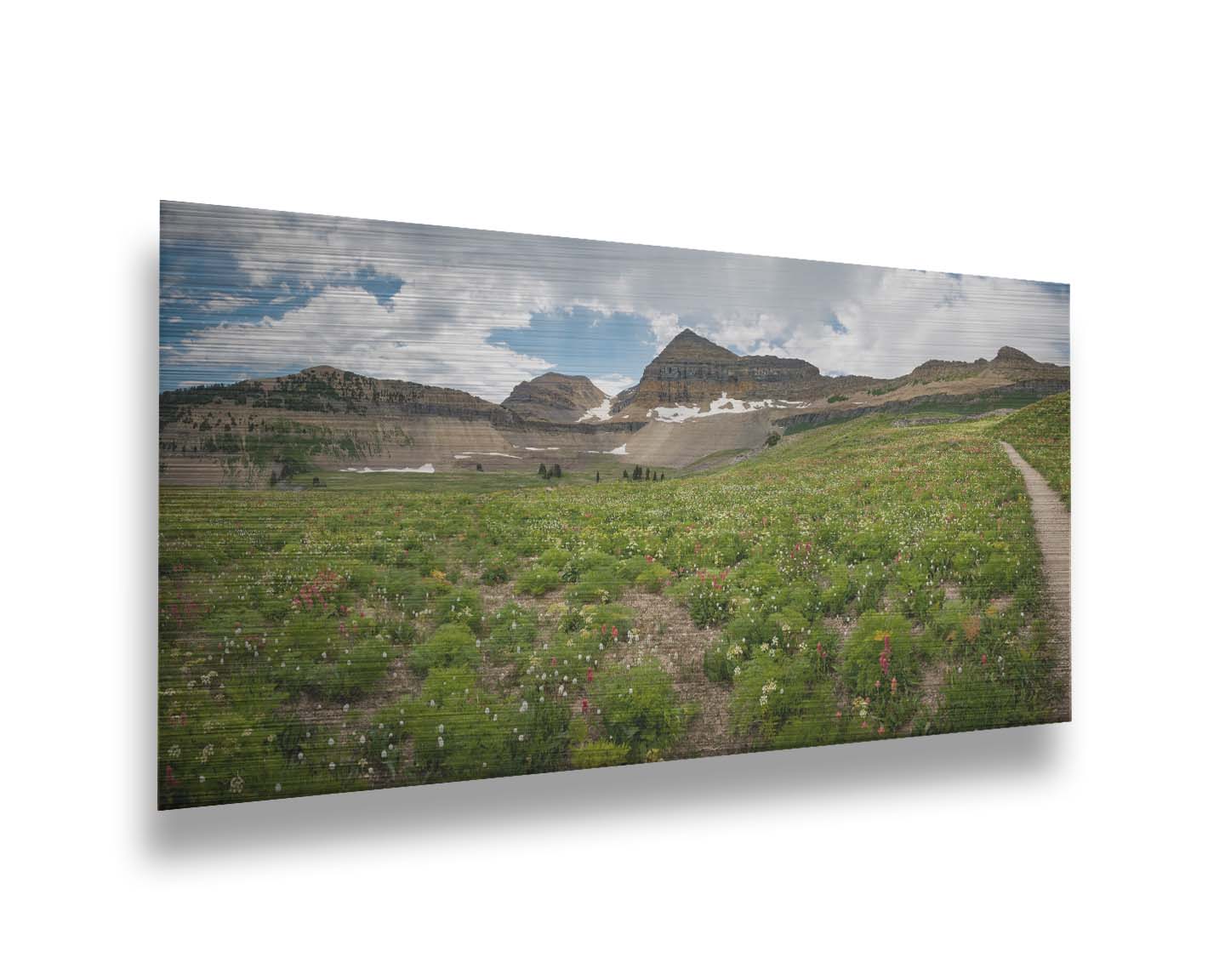 A photograph of the trails thorugh the mountains of Timpanogos, through fields of wildflowers in white, yellow, and red. Printed on metal.