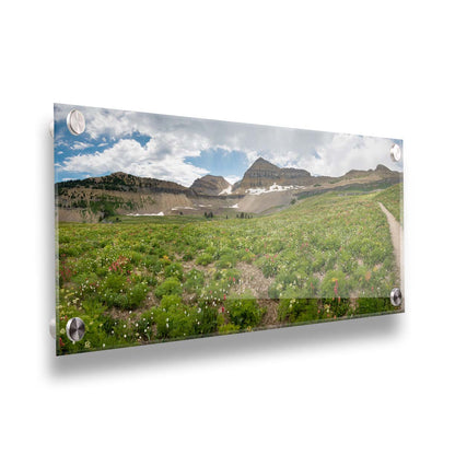 A photograph of the trails thorugh the mountains of Timpanogos, through fields of wildflowers in white, yellow, and red. Printed on acrylic.