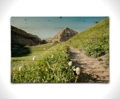 A photo of a hiking trail through hills and fields at Mt Timpanogos  in Utah. White plants bloom along the trail. Printed on a wood pallet.