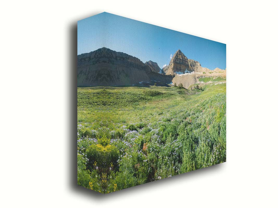 A photo of the fields through the basiuns at Mt Timpanogos. White and yellow flowers bloom all around. Printed on canvas.