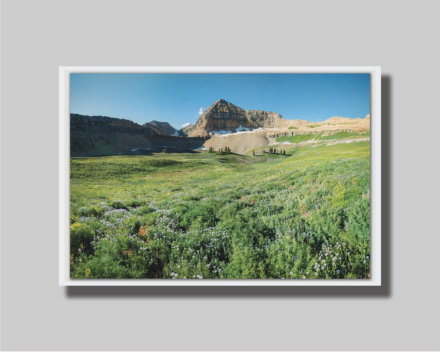 A photo of the fields through the basiuns at Mt Timpanogos. White and yellow flowers bloom all around. Printed on canvas in a  float frame.