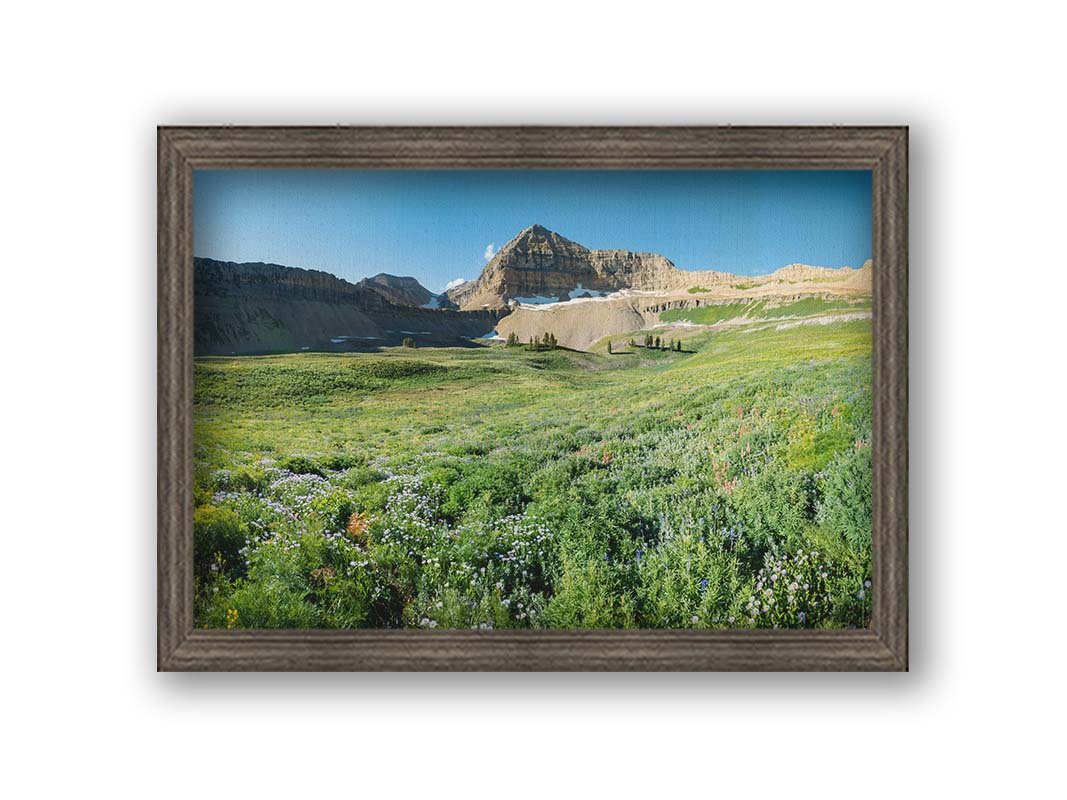 A photo of the fields through the basiuns at Mt Timpanogos. White and yellow flowers bloom all around. Printed on canavas and framed.