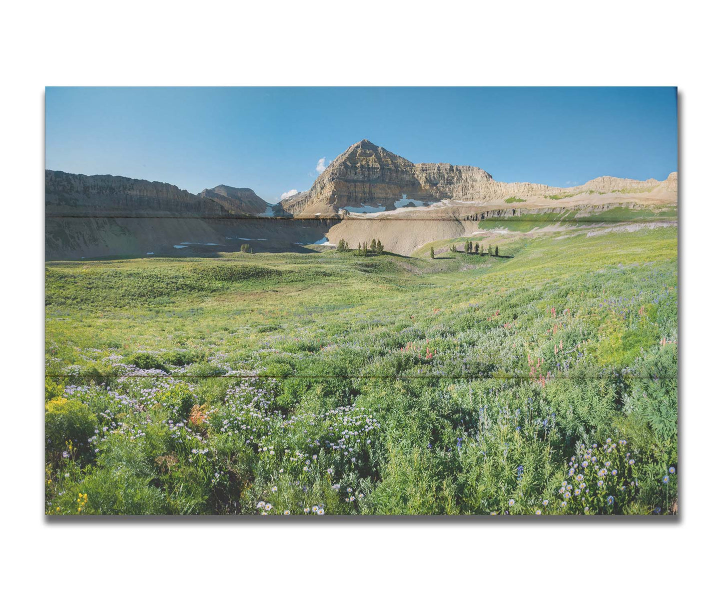 A photo of the fields through the basiuns at Mt Timpanogos. White and yellow flowers bloom all around. Printed on a box board.