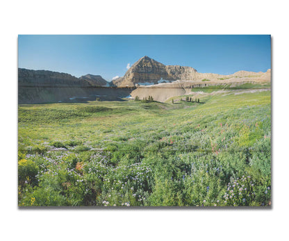 A photo of the fields through the basiuns at Mt Timpanogos. White and yellow flowers bloom all around. Printed on a box board.