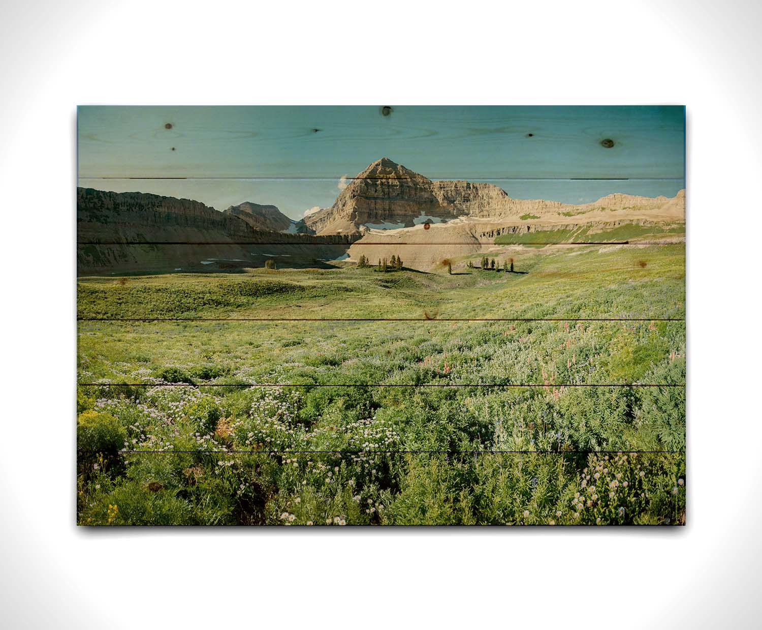 A photo of the fields through the basiuns at Mt Timpanogos. White and yellow flowers bloom all around. Printed on a wood pallet.