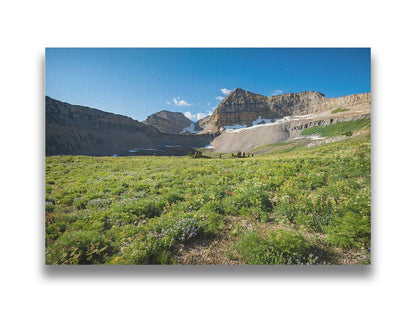 A photo of the fields through the basiuns at Mt Timpanogos. White and yellow flowers bloom all around. Printed on canvas.