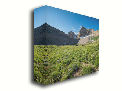 A photo of the fields through the basiuns at Mt Timpanogos. White and yellow flowers bloom all around. Printed on canvas.