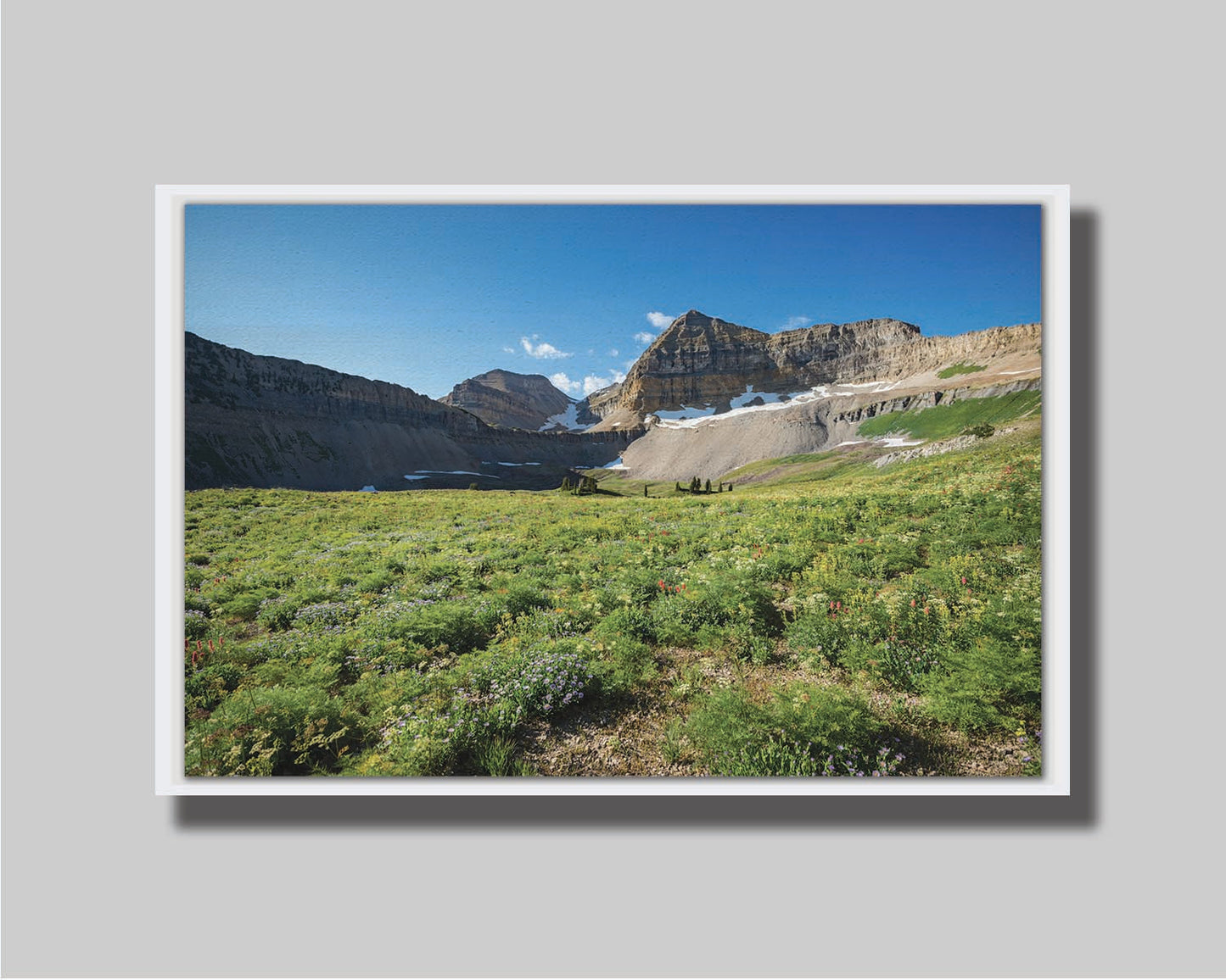 A photo of the fields through the basiuns at Mt Timpanogos. White and yellow flowers bloom all around. Printed on canvas in a float frame.