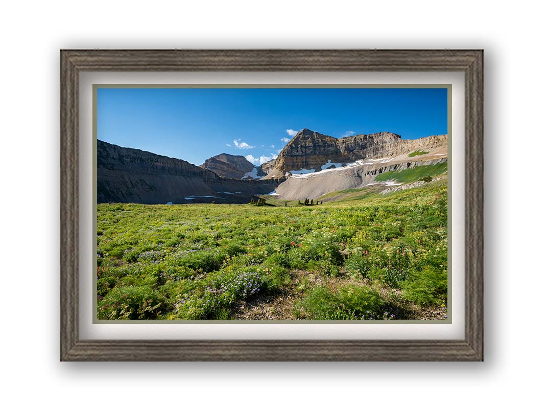 A photo of the fields through the basiuns at Mt Timpanogos. White and yellow flowers bloom all around. Printed on paper, matted, and framed.