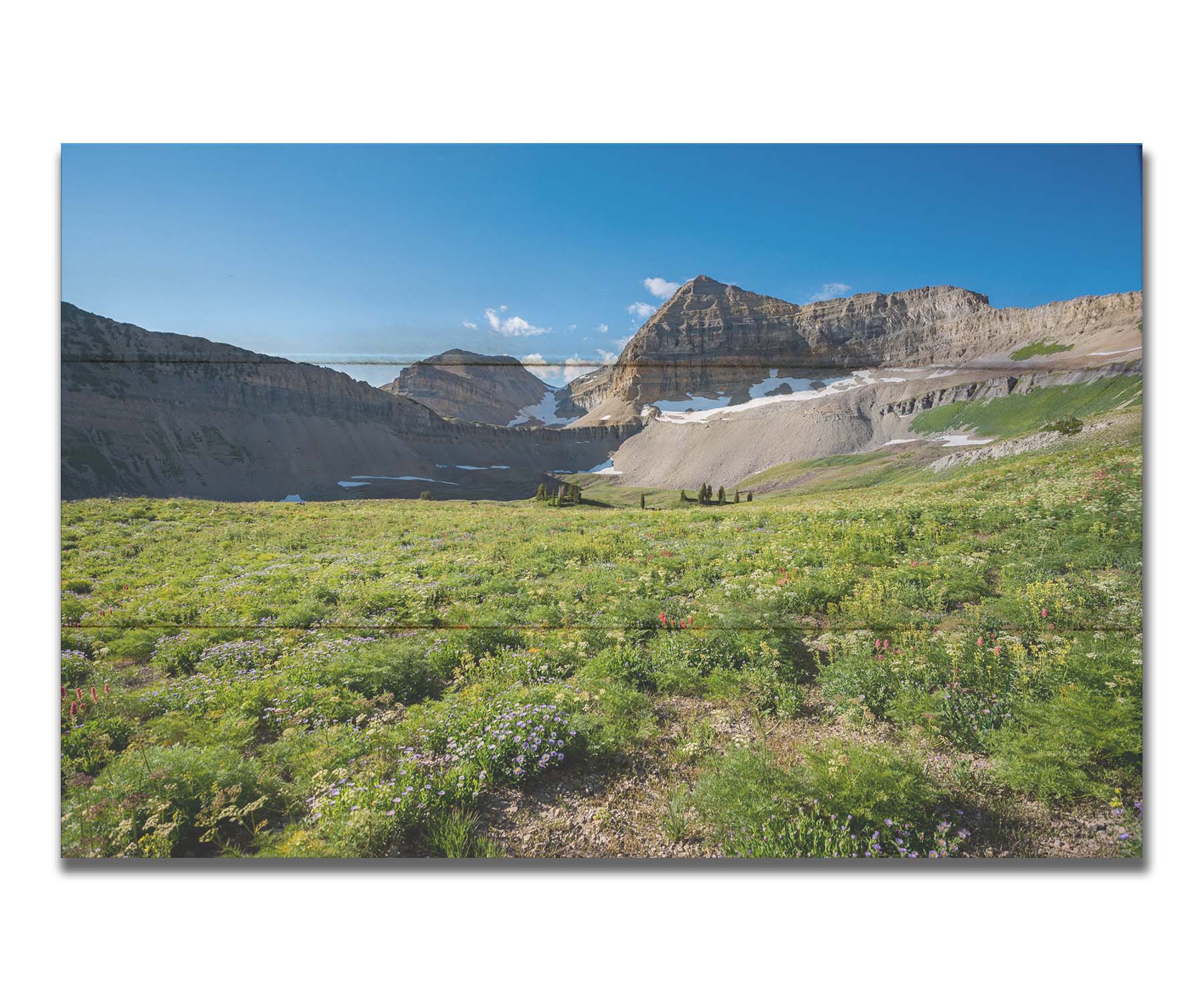 A photo of the fields through the basiuns at Mt Timpanogos. White and yellow flowers bloom all around. Printed on a box board.