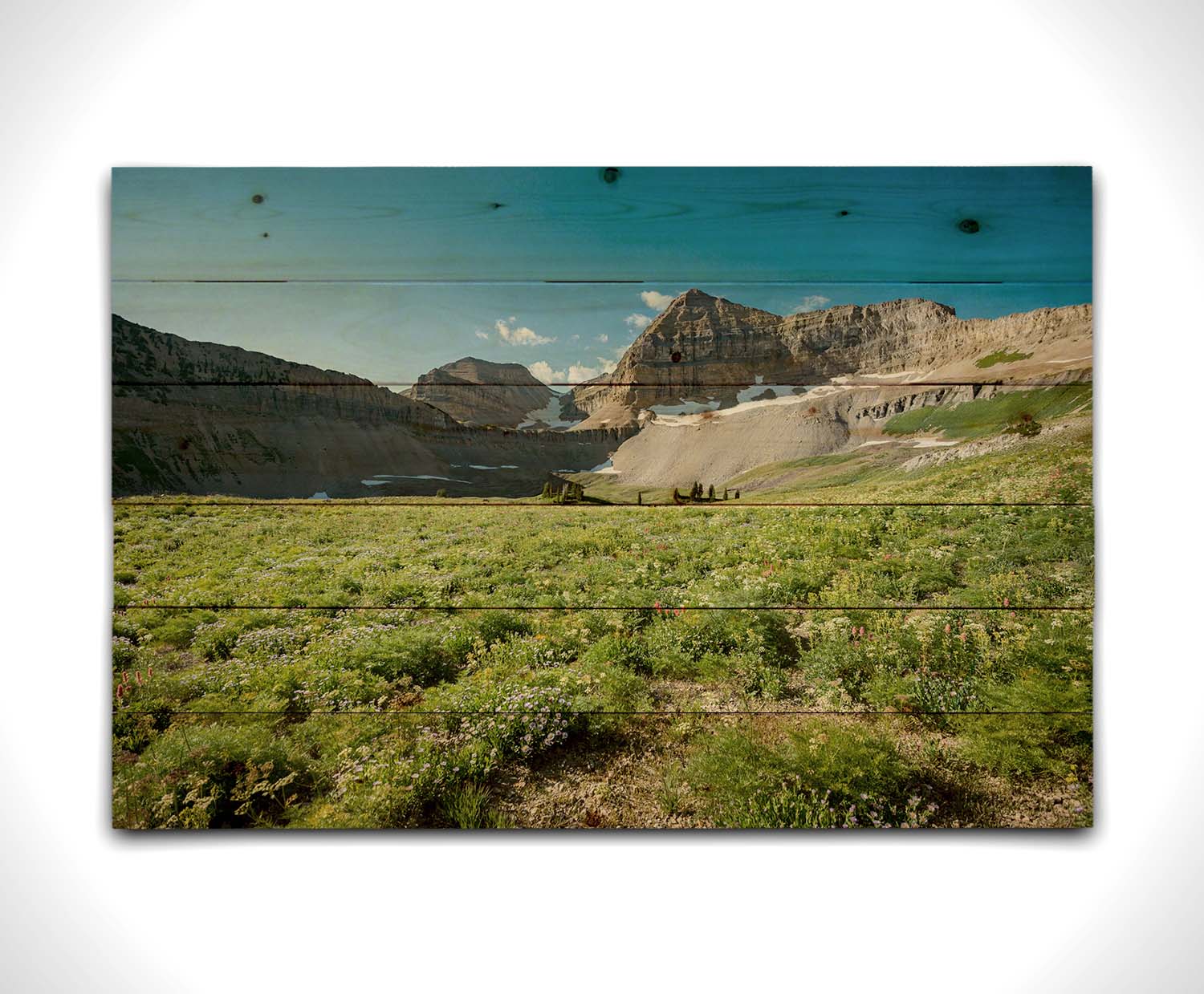 A photo of the fields through the basiuns at Mt Timpanogos. White and yellow flowers bloom all around. Printed on a wood pallet.