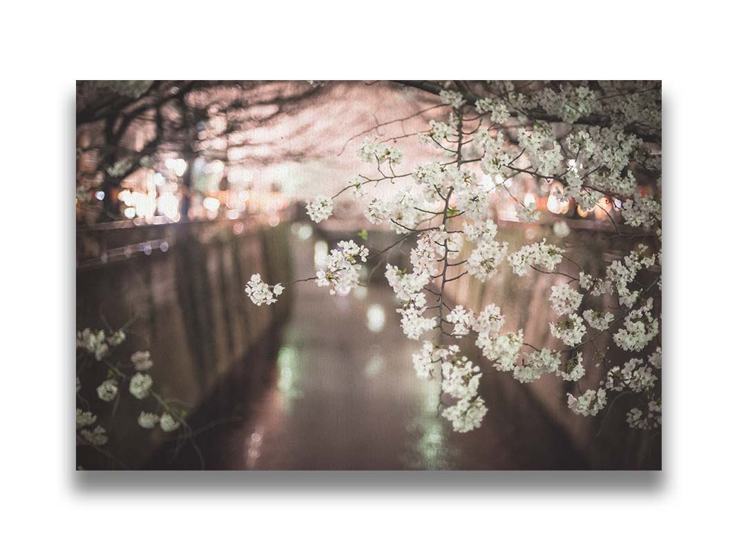 A closeup photo of a branch of cherry blossoms, hanging over the Meguro River. Out of focus in the background, the river reflects twinkles of the city lights. Printed on canvas.