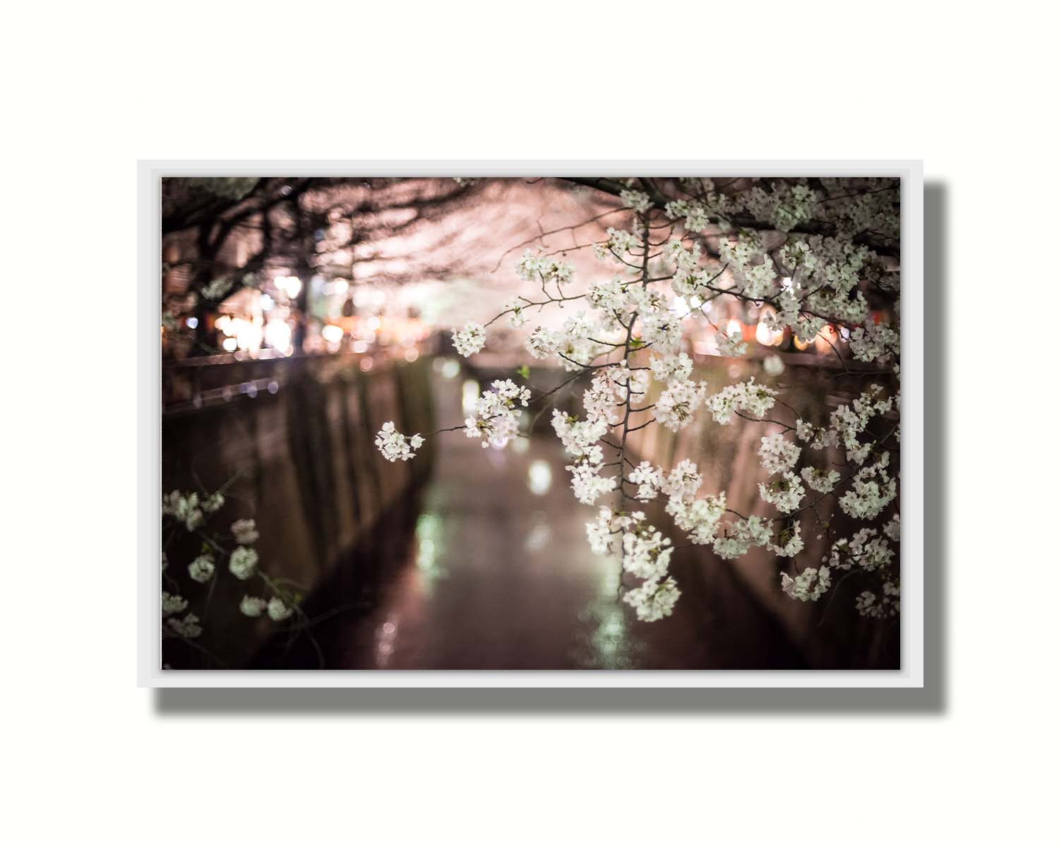 A closeup photo of a branch of cherry blossoms, hanging over the Meguro River. Out of focus in the background, the river reflects twinkles of the city lights. Printed on canvas in a float frame.