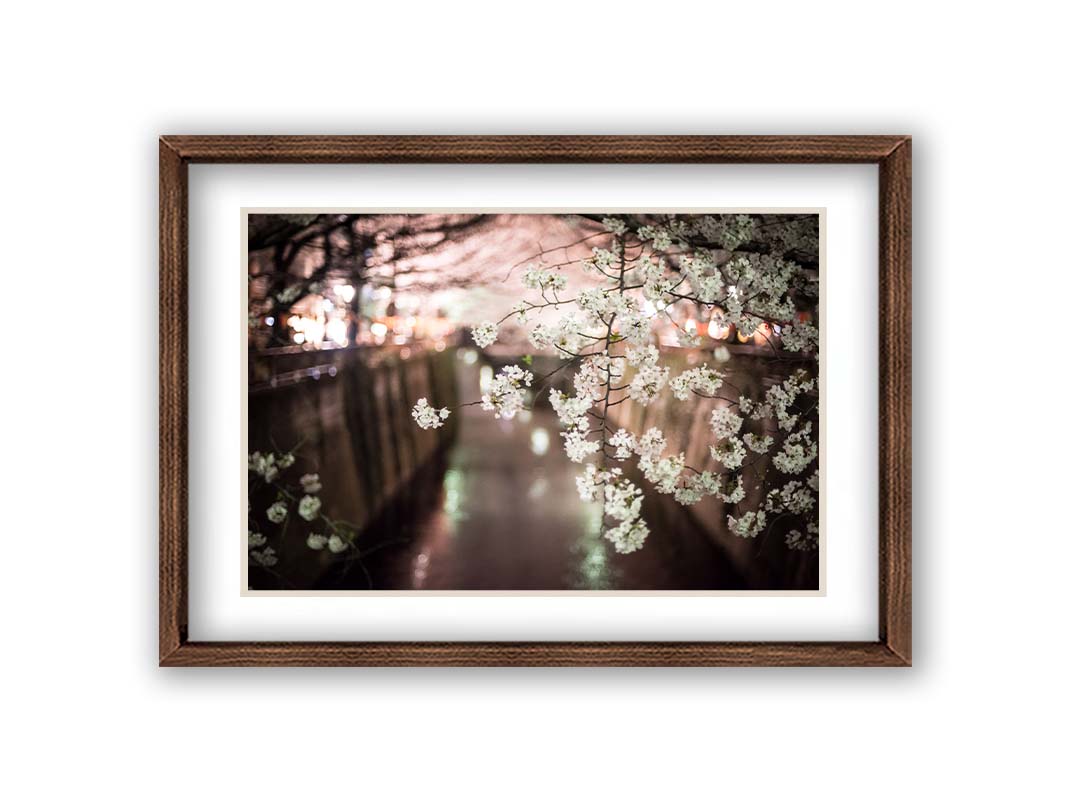 A closeup photo of a branch of cherry blossoms, hanging over the Meguro River. Out of focus in the background, the river reflects twinkles of the city lights. Printed on paper, matted, and framed.