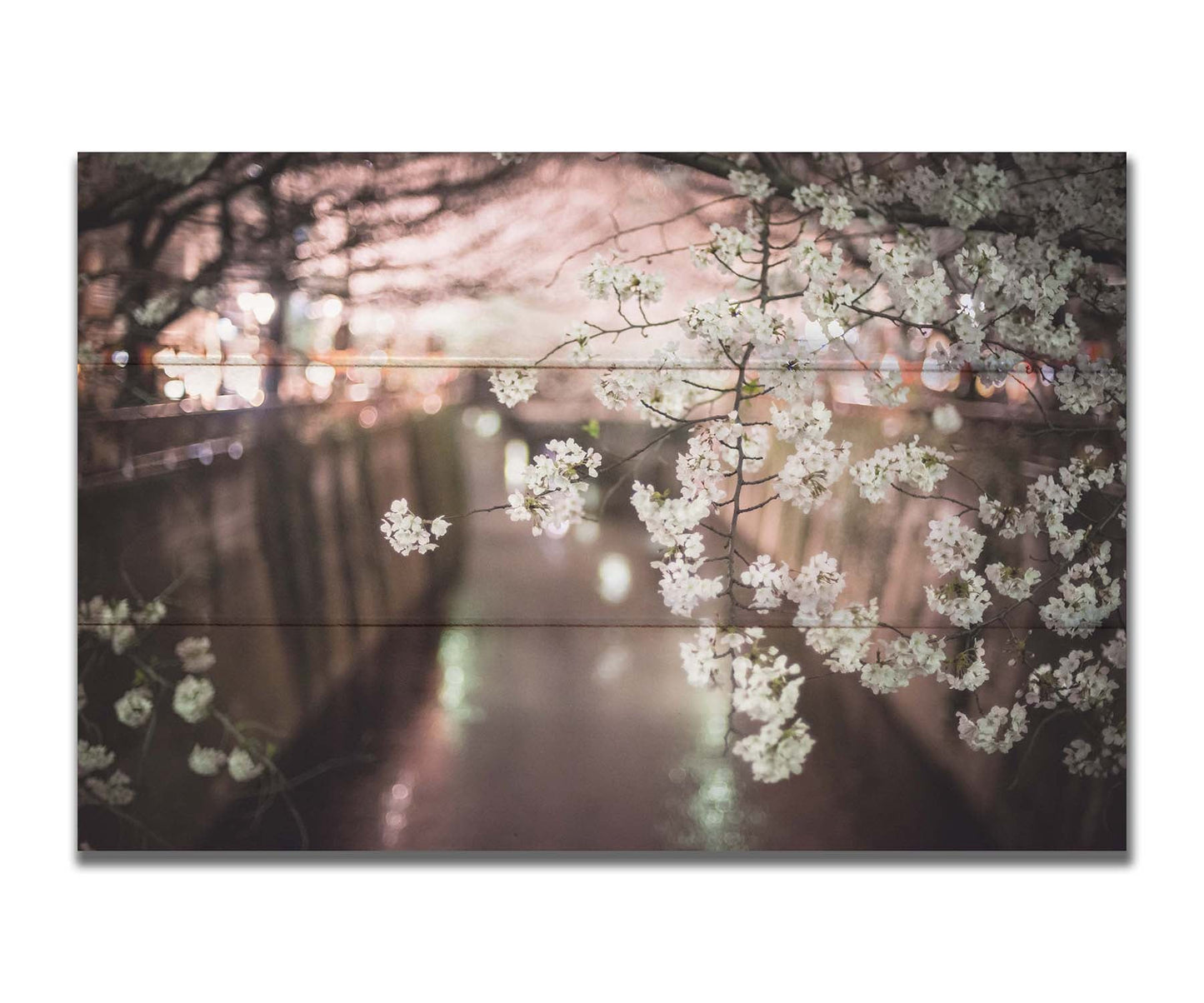 A closeup photo of a branch of cherry blossoms, hanging over the Meguro River. Out of focus in the background, the river reflects twinkles of the city lights. Printed on a box board.