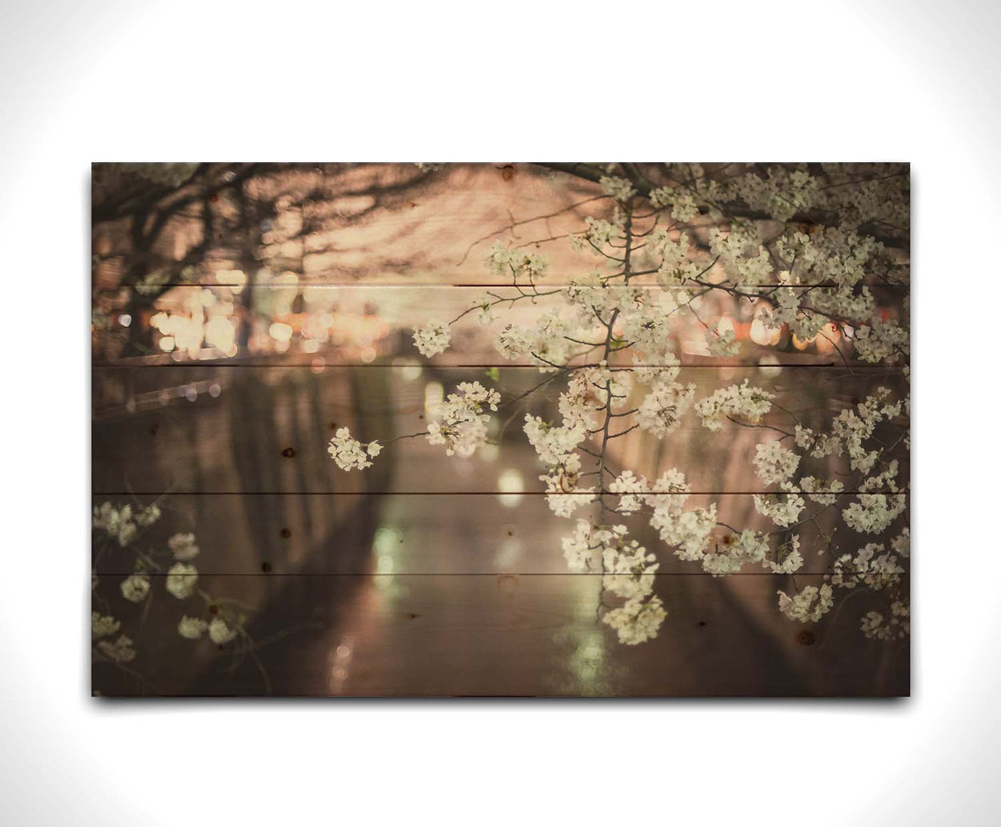 A closeup photo of a branch of cherry blossoms, hanging over the Meguro River. Out of focus in the background, the river reflects twinkles of the city lights. Printed on a wood pallet.