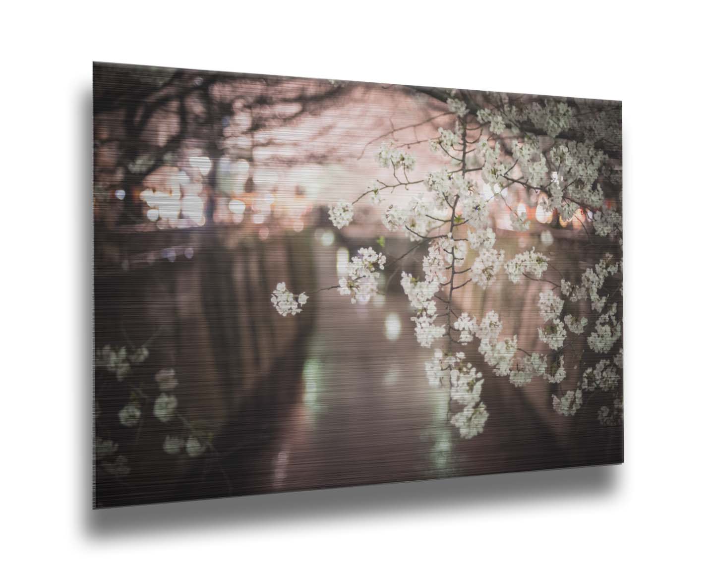 A closeup photo of a branch of cherry blossoms, hanging over the Meguro River. Out of focus in the background, the river reflects twinkles of the city lights. Printed on metal.