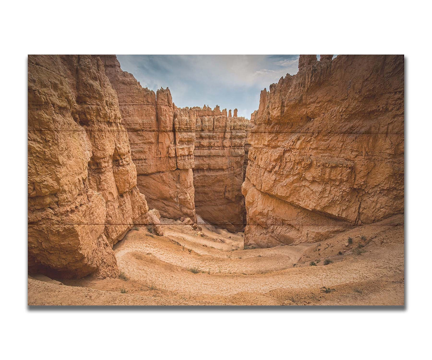 A photo of the Wall Street rock formation at Bryce Canyon National Park in Utah. The layers of stone create walls bordering a staircase-like path down through the canyon. Printed on a box board.