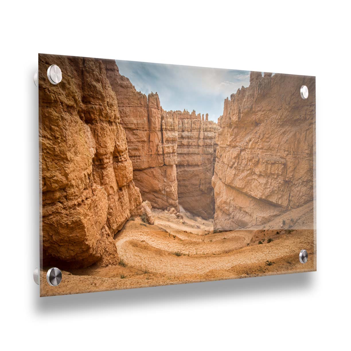 A photo of the Wall Street rock formation at Bryce Canyon National Park in Utah. The layers of stone create walls bordering a staircase-like path down through the canyon. Printed on acrylic.