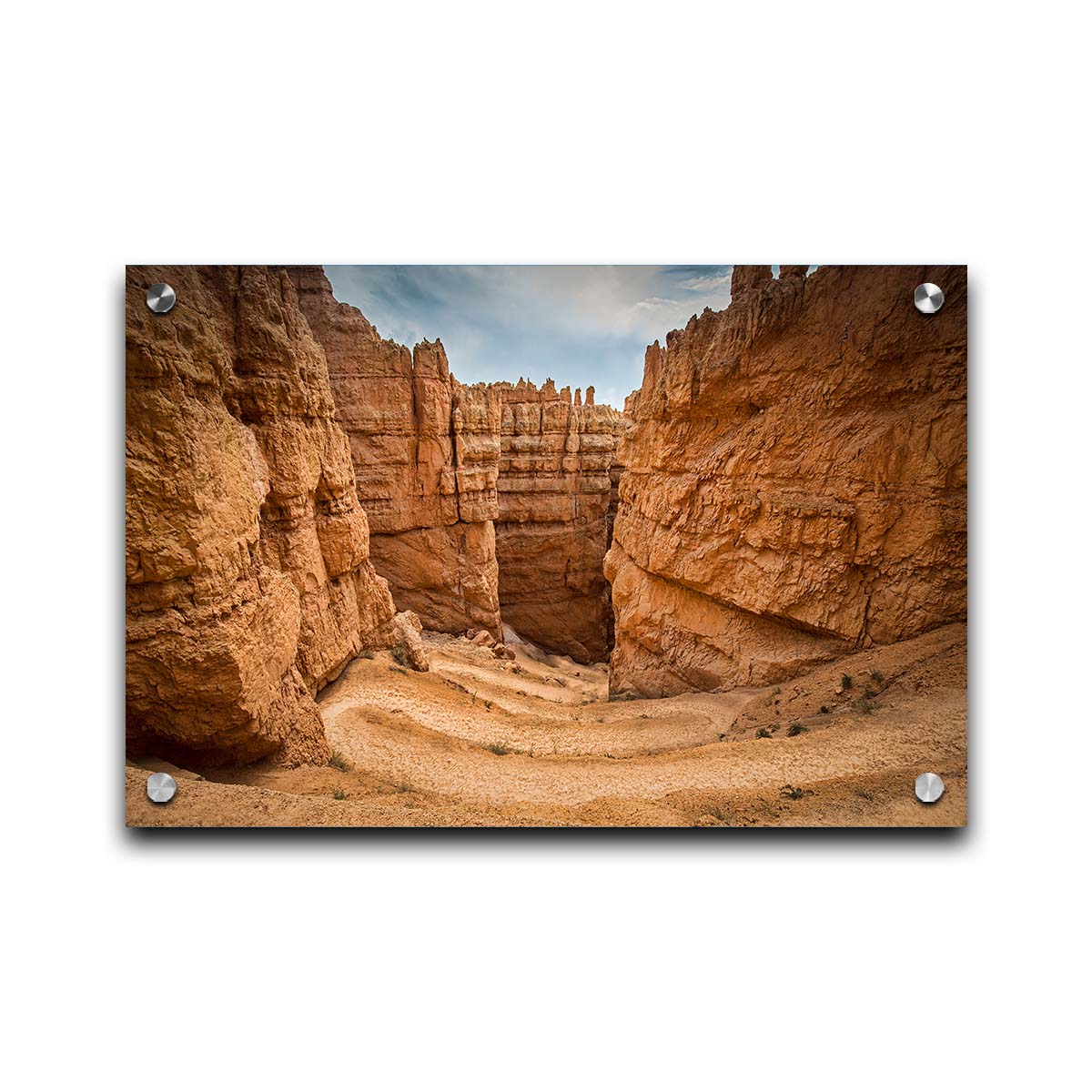 A photo of the Wall Street rock formation at Bryce Canyon National Park in Utah. The layers of stone create walls bordering a staircase-like path down through the canyon. Printed on acrylic.