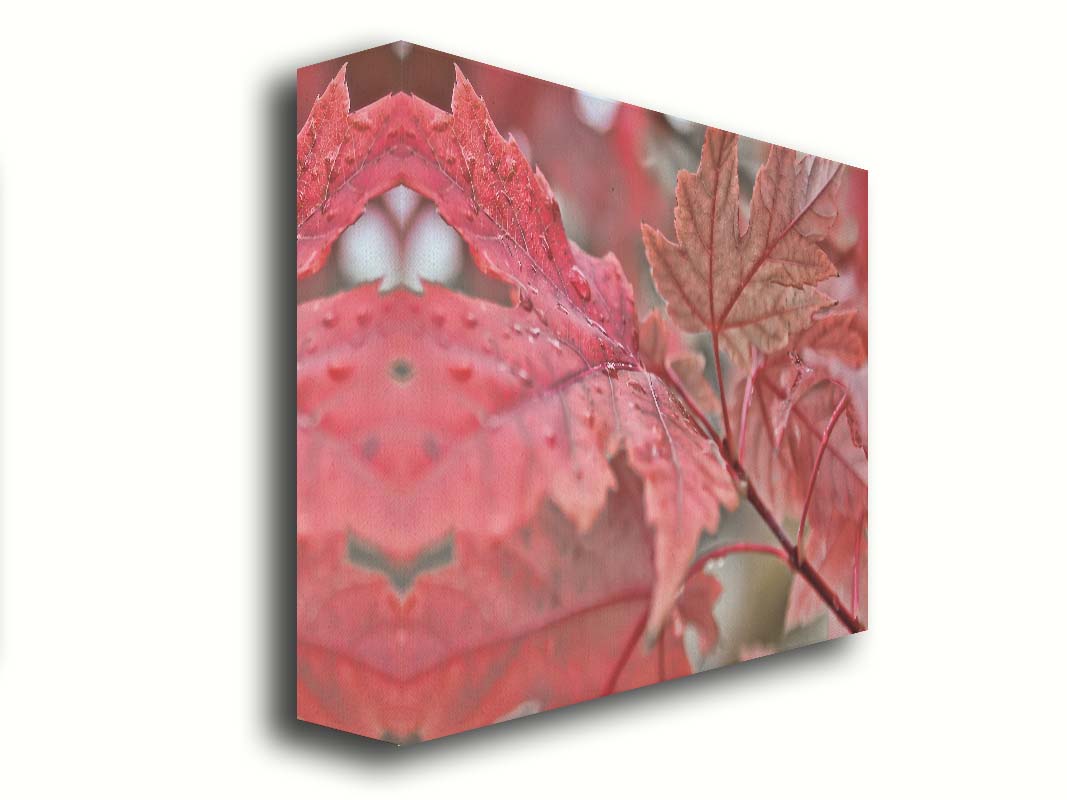 A closeup photo of some red leaves, waiting to fall off for winter. Printed on canvas.