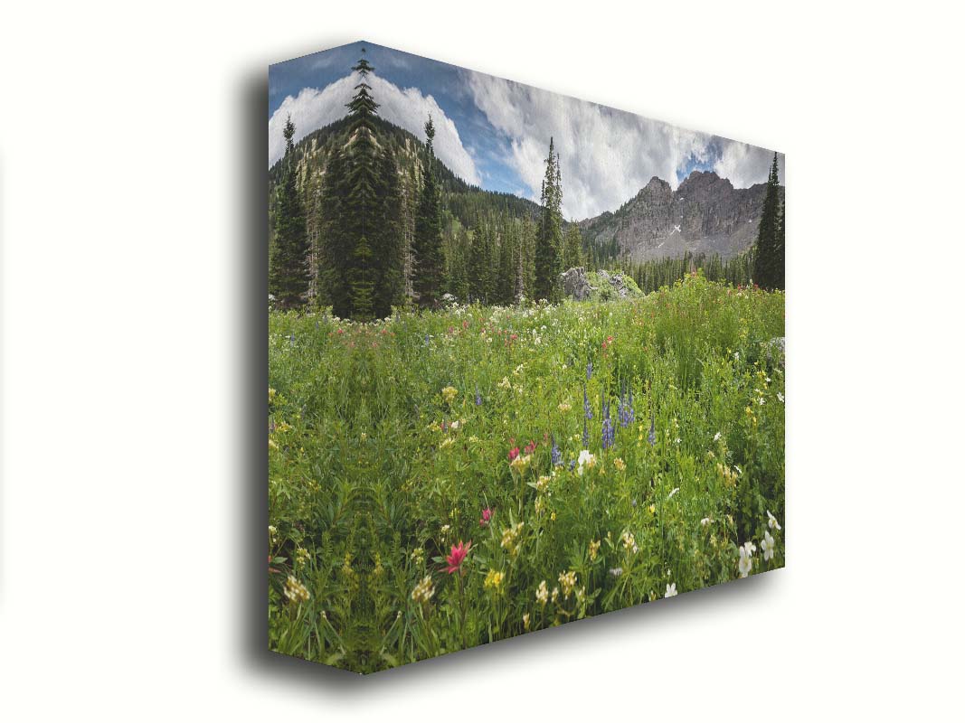 A photo of the Albion Basin wildflowers at Cecret Lake, Utah. They are blooming in white, yellow, purple, and pink while surrounded by dark evergreens with mountains in the distance. Printed on canvas.