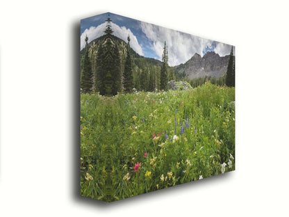 A photo of the Albion Basin wildflowers at Cecret Lake, Utah. They are blooming in white, yellow, purple, and pink while surrounded by dark evergreens with mountains in the distance. Printed on canvas.