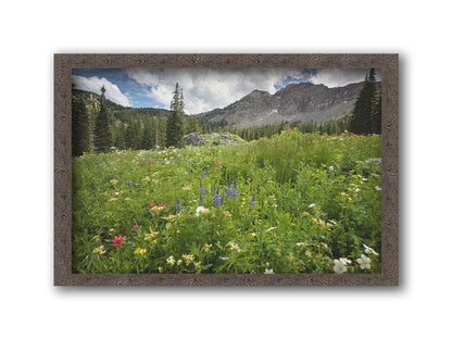 A photo of the Albion Basin wildflowers at Cecret Lake, Utah. They are blooming in white, yellow, purple, and pink while surrounded by dark evergreens with mountains in the distance. Printed on canvas and framed.