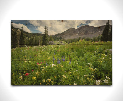 A photo of the Albion Basin wildflowers at Cecret Lake, Utah. They are blooming in white, yellow, purple, and pink while surrounded by dark evergreens with mountains in the distance. Printed on a wood pallet.