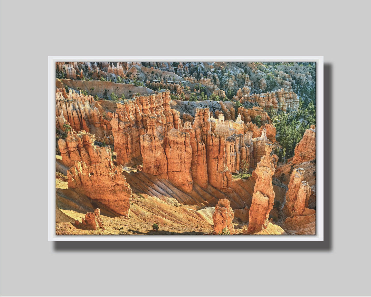 A photo of towering sandstone pillars along the Navajo Loop trail at Bryce Canyon National Park in Utah. The orange and yellow stone is contrasted by bursts of evergreens scattered throughout the walls of stone. Printed on canvas in a float frame.