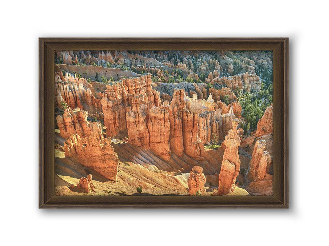 A photo of towering sandstone pillars along the Navajo Loop trail at Bryce Canyon National Park in Utah. The orange and yellow stone is contrasted by bursts of evergreens scattered throughout the walls of stone. Printed on canvas and framed.