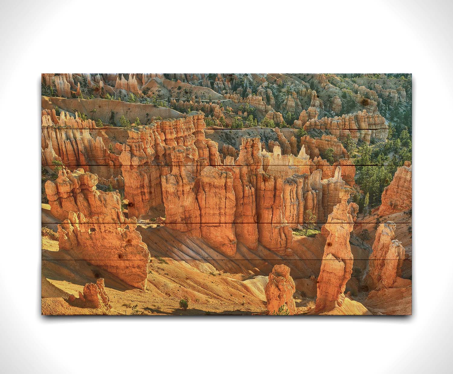 A photo of towering sandstone pillars along the Navajo Loop trail at Bryce Canyon National Park in Utah. The orange and yellow stone is contrasted by bursts of evergreens scattered throughout the walls of stone. Printed on a wood pallet.