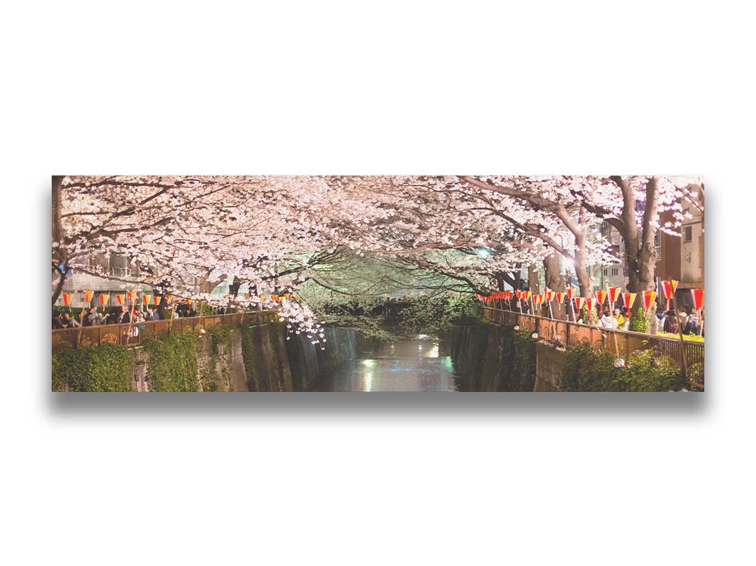 Photo of cherry blossom trees over a canal at Meguro River in Tokyo, Japan. Printed on canvas.