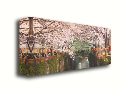 Photo of cherry blossom trees over a canal at Meguro River in Tokyo, Japan. Printed on canvas.