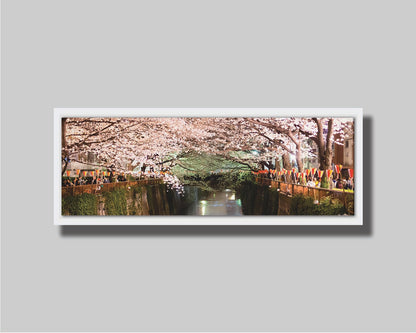 Photo of cherry blossom trees over a canal at Meguro River in Tokyo, Japan. Printed on canvas in a float frame.