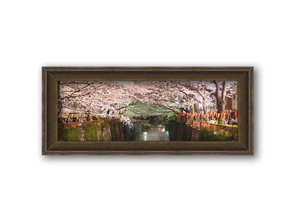 Photo of cherry blossom trees over a canal at Meguro River in Tokyo, Japan. Printed on canvas and framed.