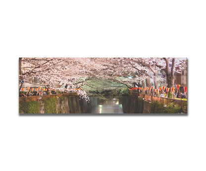 Photo of cherry blossom trees over a canal at Meguro River in Tokyo, Japan. Printed on a box board.