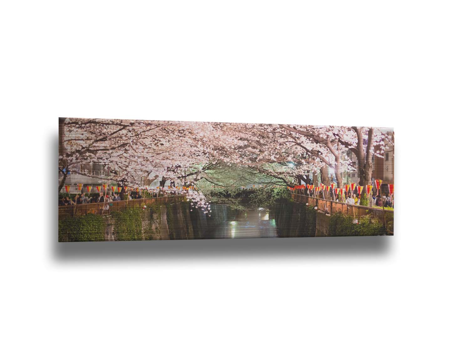 Photo of cherry blossom trees over a canal at Meguro River in Tokyo, Japan. Printed on metal.