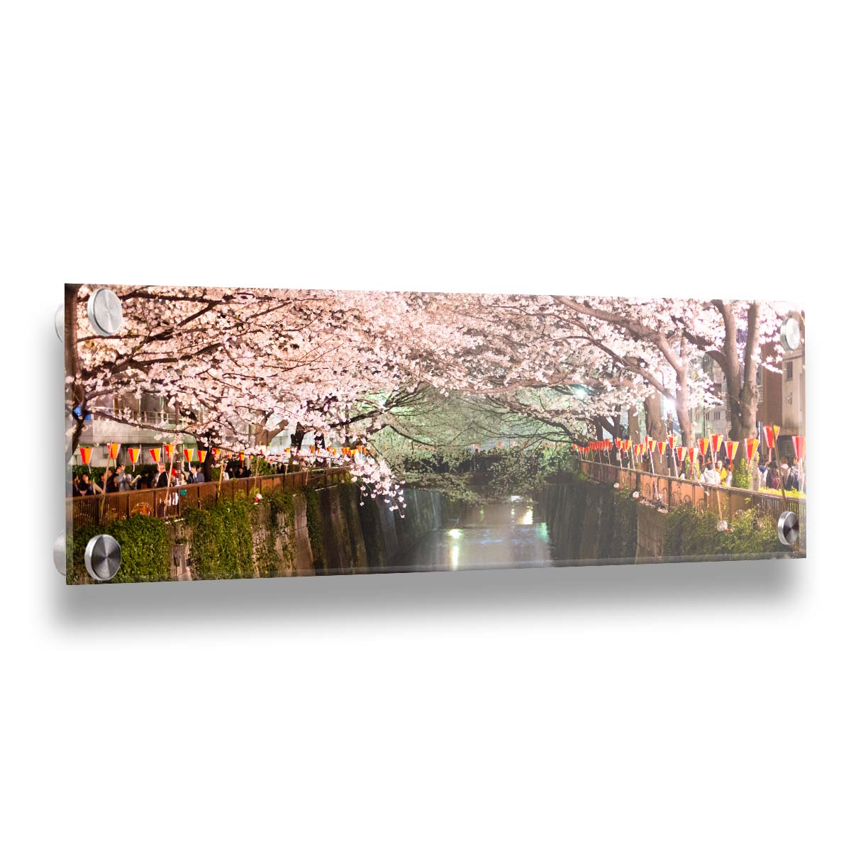 Photo of cherry blossom trees over a canal at Meguro River in Tokyo, Japan. Printed on acrylic.