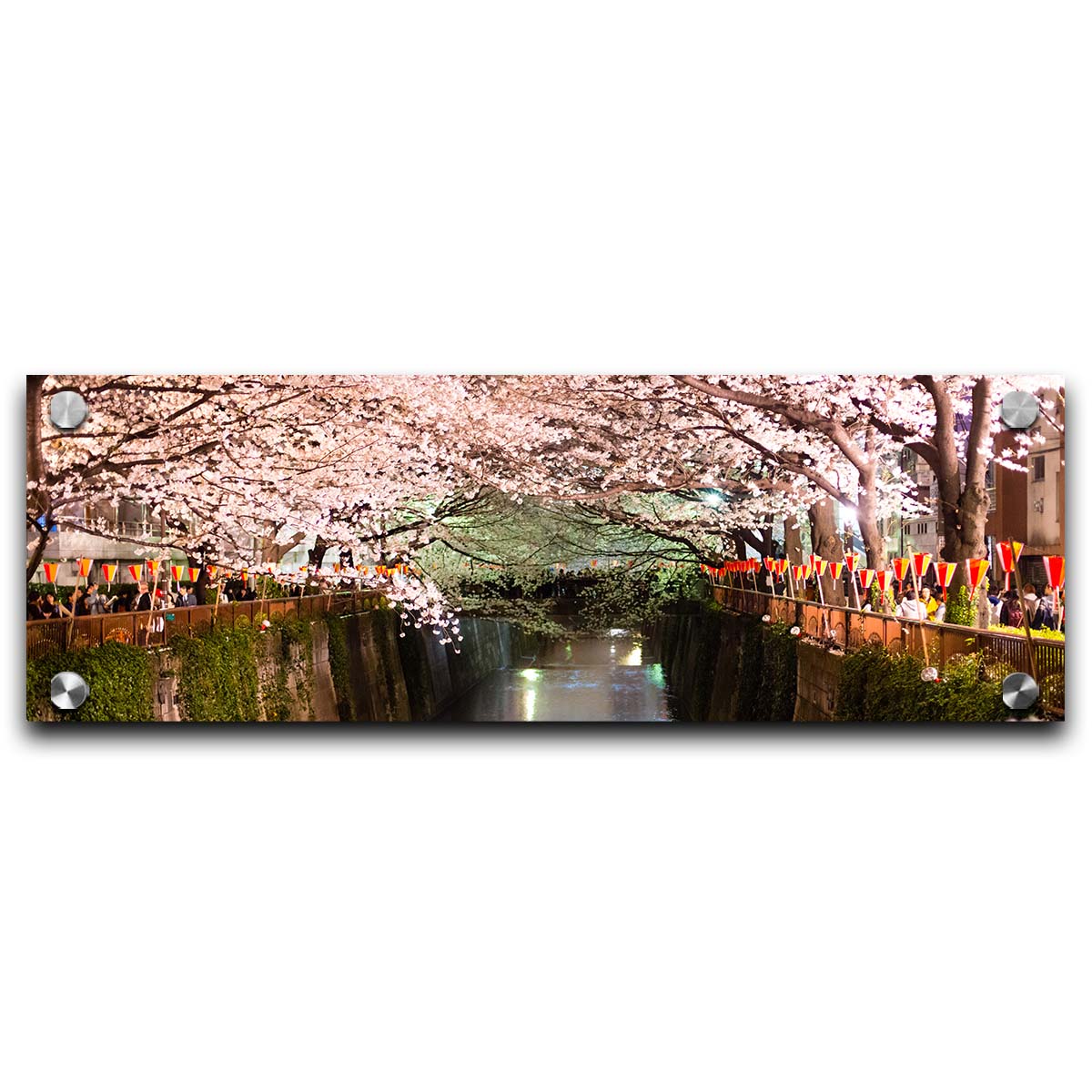 Photo of cherry blossom trees over a canal at Meguro River in Tokyo, Japan. Printed on acrylic.